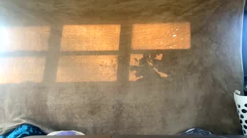 starbie online show from 12-30-24, 04:29