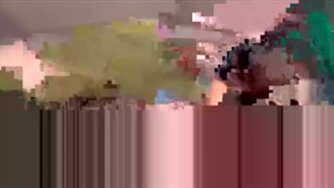 starbie online show from 03-19-26, 04:33