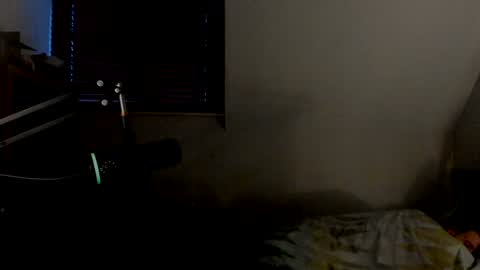 Snapshot of starlight1987 chatting on 01-04-25, 08:17 Adam online show from 01-04-25, 08:17