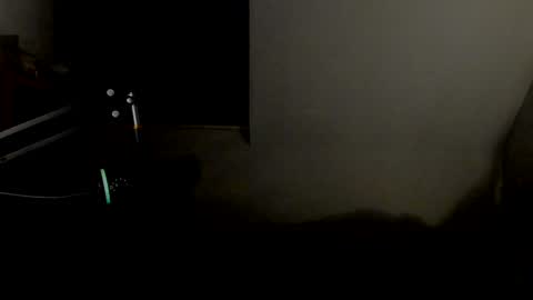 Snapshot of starlight1987 chatting on 01-11-25, 05:52 Adam online show from 01-11-25, 05:52