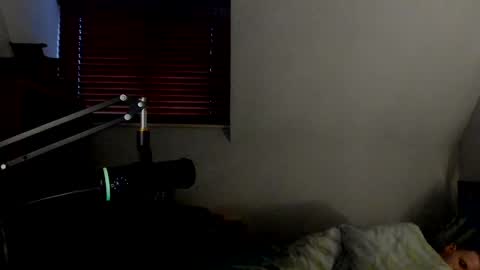 Snapshot of starlight1987 chatting on 03-11-25, 06:21 Adam online show from 03-11-25, 06:21