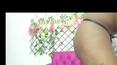 stefany_bitch online show from 11-06-25, 02:07