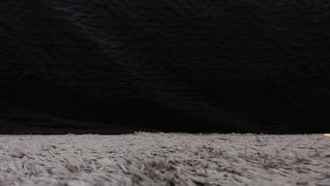 Stefany Brown online show from 03-21-26, 11:26