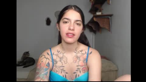 Snapshot of stella_art chatting on 02-13-26, 02:40 Stella online show from 02-13-26, 02:40