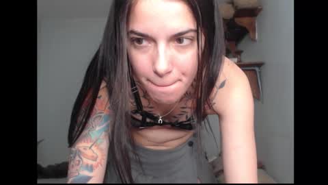 Snapshot of stella_art chatting on 02-17-26, 02:08 Stella online show from 02-17-26, 02:08