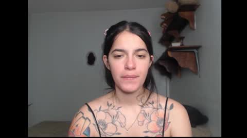 Snapshot of stella_art chatting on 02-20-26, 06:26 Stella online show from 02-20-26, 06:26