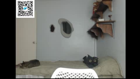 Stella online show from 04-01-26, 08:39