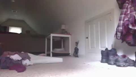 Snapshot of stevedevinrachel chatting on 10-13-25, 05:57 steve online show from 10-13-25, 05:57