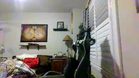 steveross33 online show from 03-20-26, 12:04