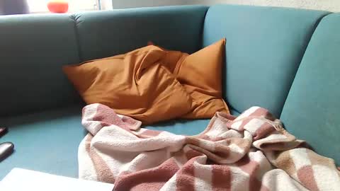 Snapshot of stevessky chatting on 12-30-24, 08:54 stevessky online show from 12-30-24, 08:54