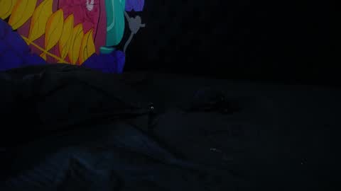 StickXCandy online show from 01-30-25, 04:34