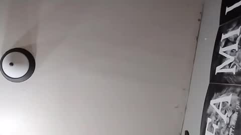 Oval2022 online show from 03-26-26, 12:11