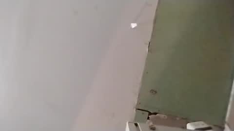 Oval2022 online show from 04-14-26, 12:22