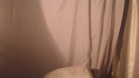 stonenipple online show from 10-28-25, 05:48