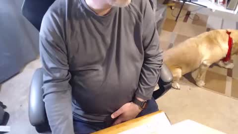 Stormy6569 online show from 03-14-26, 01:44