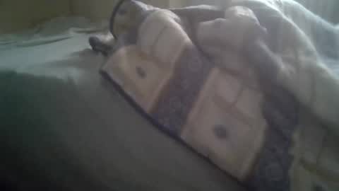 Snapshot of stransugo chatting on 03-05-26, 07:37 Tony online show from 03-05-26, 07:37