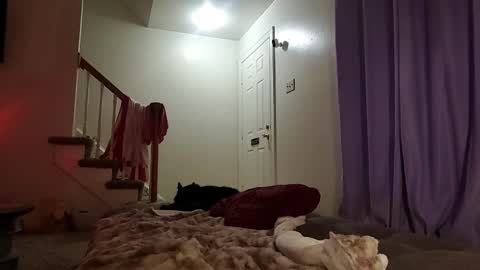 Strawberrylotsacake online show from 09-17-25, 05:31