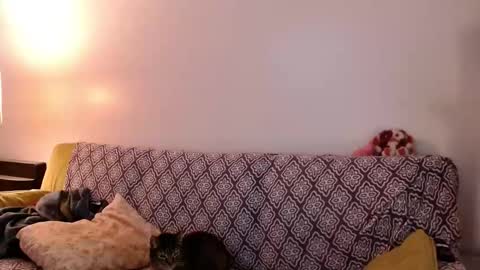 Strawberrylotsacake online show from 11-24-25, 04:07