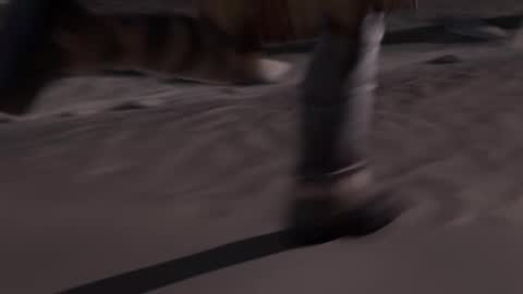 stream247_v2 online show from 01-15-26, 10:09