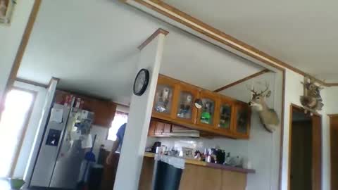 Snapshot of strokenmycock78 chatting on 03-28-26, 08:08 strokenmycock78 online show from 03-28-26, 08:08