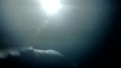 Snapshot of stroll0695 chatting on 01-26-25, 01:36 Bigdickdugan online show from 01-26-25, 01:36