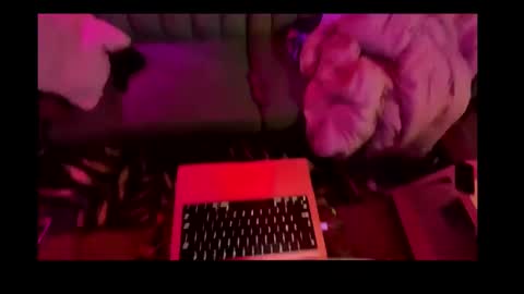 Snapshot of studio4three chatting on 02-26-25, 11:20 studio4three online show from 02-26-25, 11:20