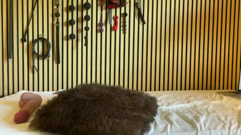 Snapshot of submissivesluttie chatting on 07-17-26, 07:37 Submissive Slut online show from 07-17-26, 07:37