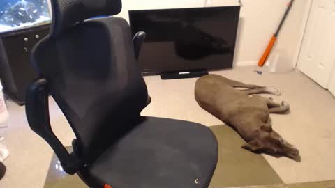 do i have lil tits or pecs online show from 10-15-25, 02:06