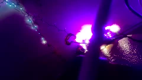 suchadelight online show from 12-30-24, 08:32