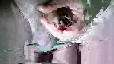 Snapshot of suesser0009 chatting on 10-20-25, 11:38 Martin sweetboy online show from 10-20-25, 11:38