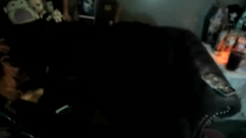 Sugary online show from 01-19-26, 11:25