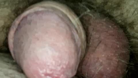Snapshot of sugus56 chatting on 05-20-26, 06:19 Samenspender online show from 05-20-26, 06:19