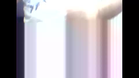 suleyman38 online show from 02-17-25, 12:16