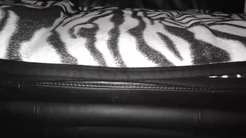 Snapshot of sundicksun chatting on 12-24-24, 09:11 s online show from 12-24-24, 09:11