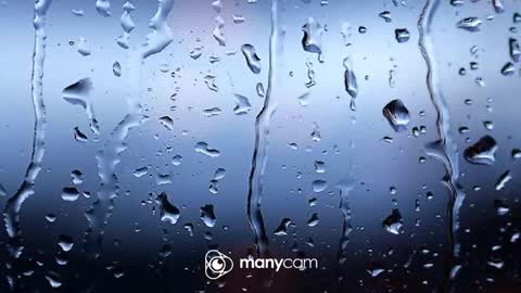 sven online show from 02-10-26, 08:07