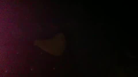 Sunnyblack2 online show from 03-09-26, 07:07