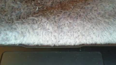 Snapshot of suseee chatting on 03-21-26, 03:44 Suseee online show from 03-21-26, 03:44