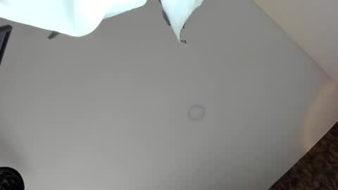 Vanessa online show from 04-05-26, 09:01