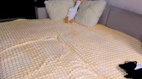 Alice online show from 11-15-25, 03:52