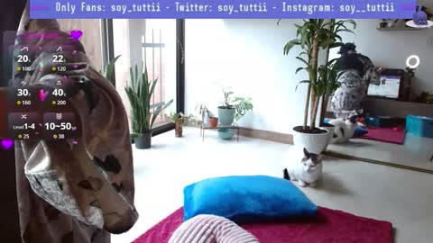 Tutti  online show from 01-12-26, 04:12