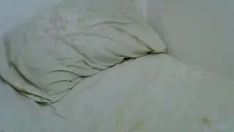 Lisa online show from 07-27-26, 10:44