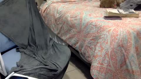 WeAim2PZzz online show from 02-20-25, 11:43