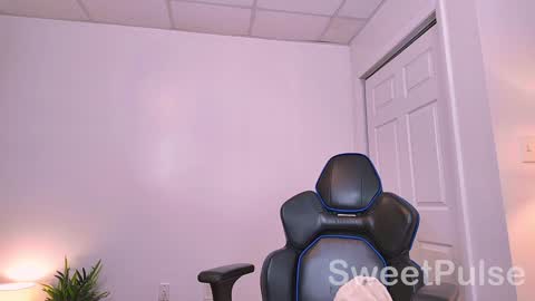 Snapshot of sweetpulse_ chatting on 12-23-24, 10:12 Rose online show from 12-23-24, 10:12