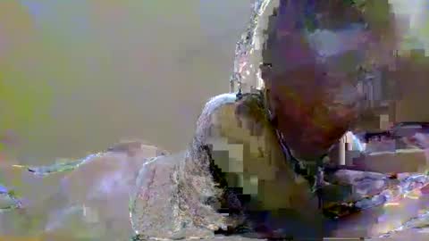 Snapshot of sweetvalk20 chatting on 02-25-25, 02:25 sweetvalk20 online show from 02-25-25, 02:25