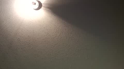 swirlcple69 online show from 03-01-26, 07:32