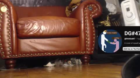 Snapshot of swolebbc chatting on 12-01-25, 06:46 The DickGod online show from 12-01-25, 06:46