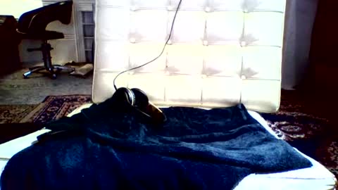 Snapshot of syd666 chatting on 12-16-24, 02:05 subfordomme online show from 12-16-24, 02:05