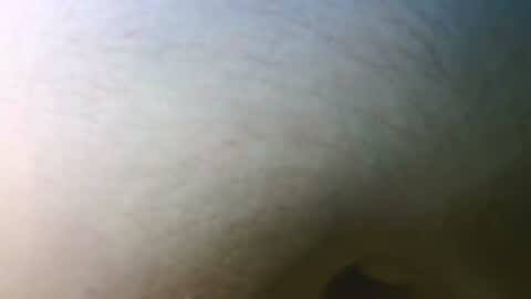 syrius57920 online show from 11-07-25, 05:13