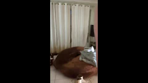 Snapshot of tab7exp chatting on 03-21-26, 01:21 tab7exp online show from 03-21-26, 01:21