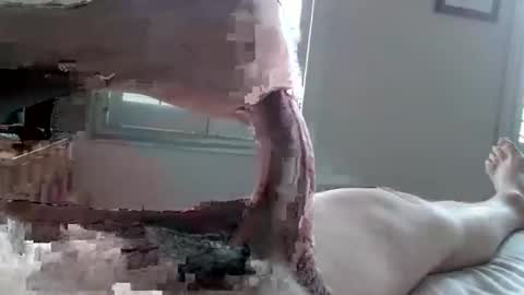 Tactful1 online show from 04-03-26, 05:11